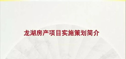 2019年龙湖房产项目实施策划